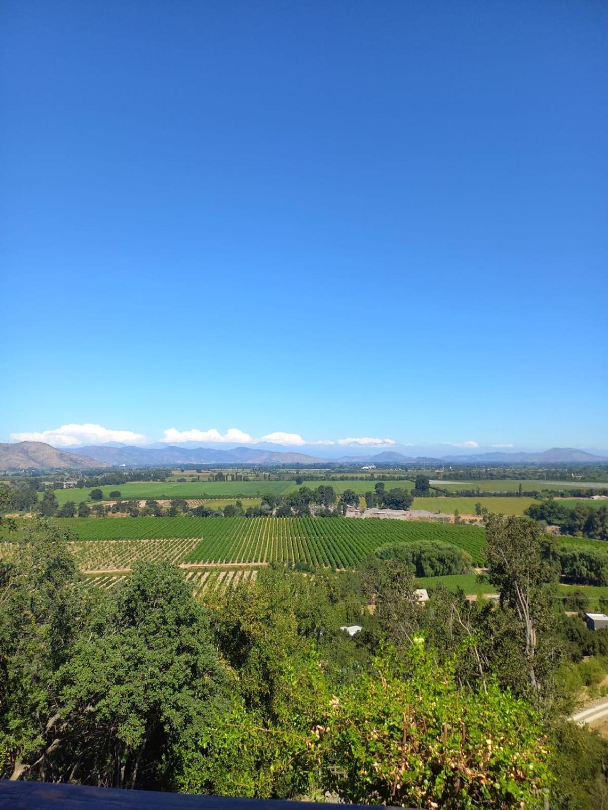 Colchagua D'Vino Hotel Santa Cruz Bagian luar foto